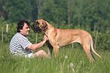 ADULTE ET CHIEN 429